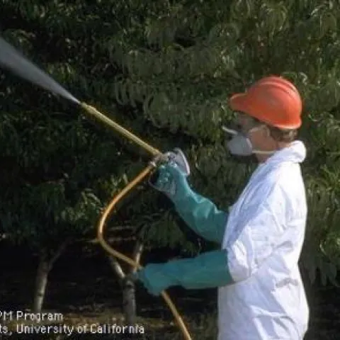spraying