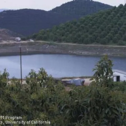 irrigation pond