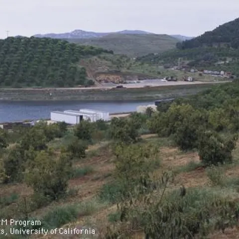 irrigation image
