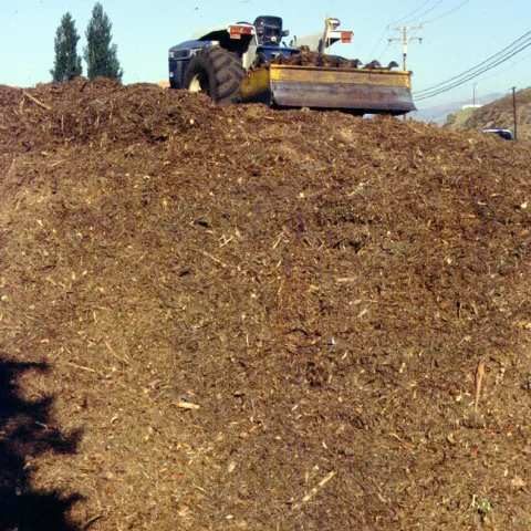 mulch