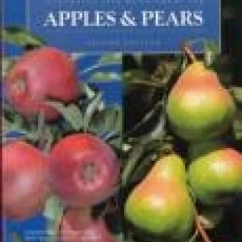 UC apple