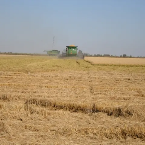 IMG 3680