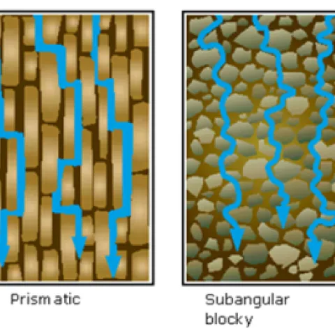 water movement