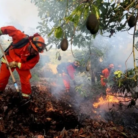 fire fighting