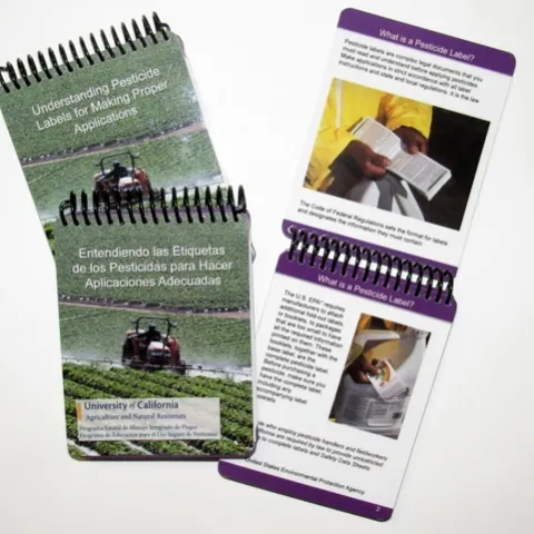 label cards