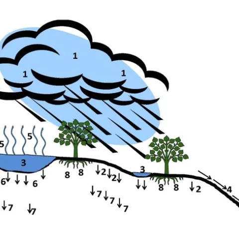 rain