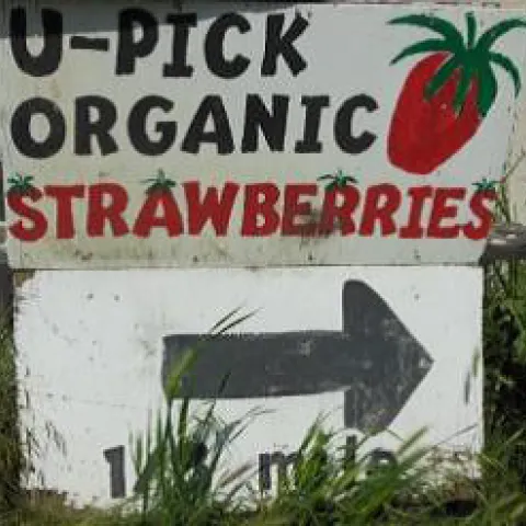 agritourism2