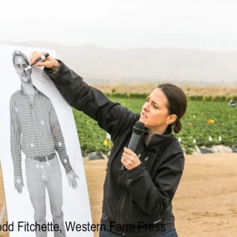 pesticide safety