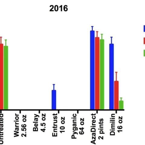 Data 1