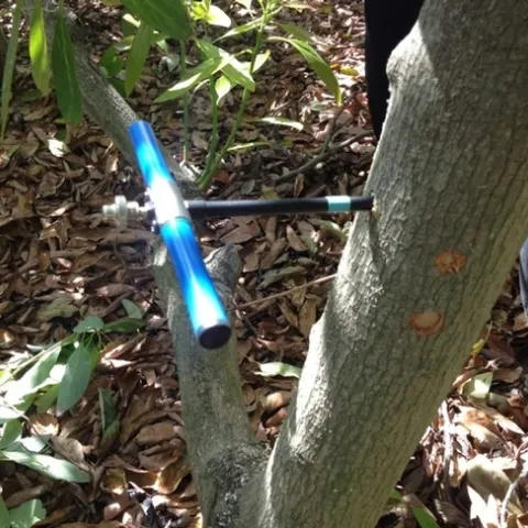 wood coring