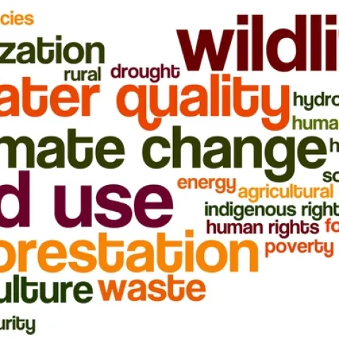 ESPM164_2017-Why-Wordle.png