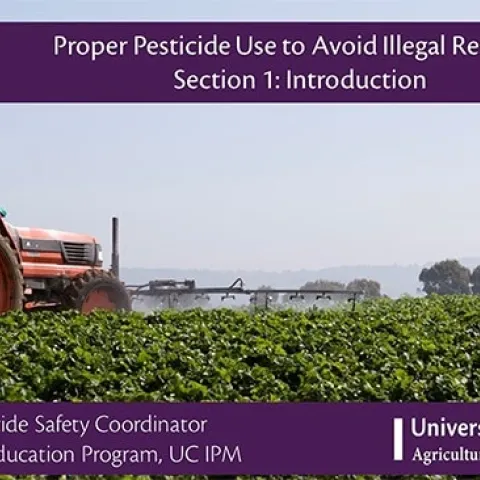 IPM Units