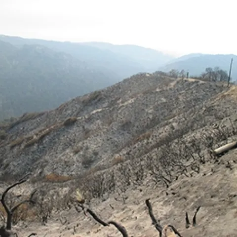 fire NRCS damage