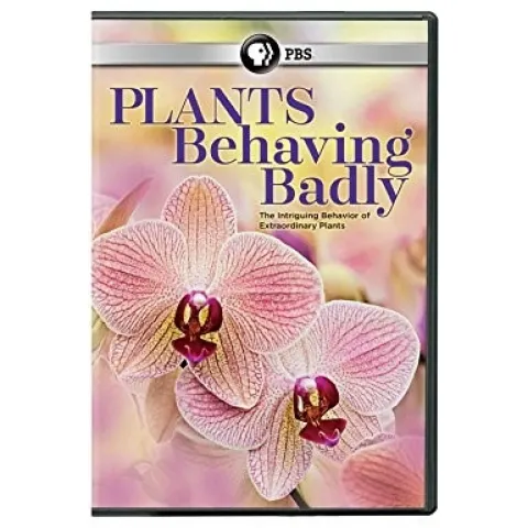 plants behaving badly