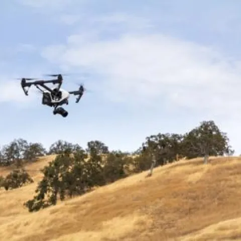 drone