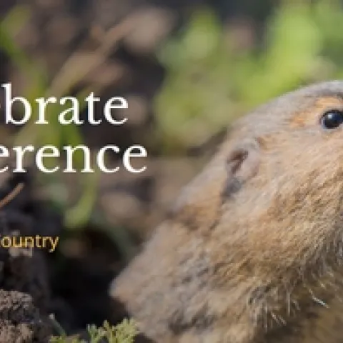 VertPestConf