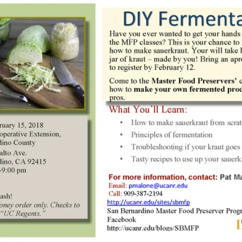 DIY Fermetation