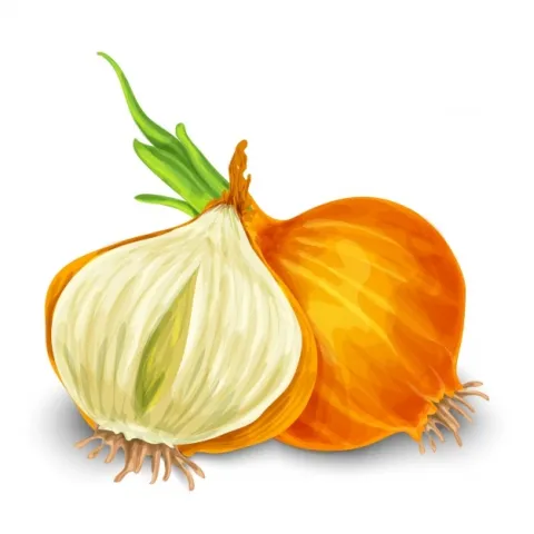 onion1,