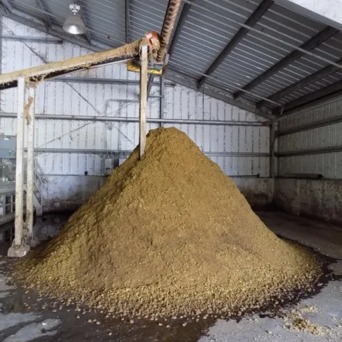 Manure