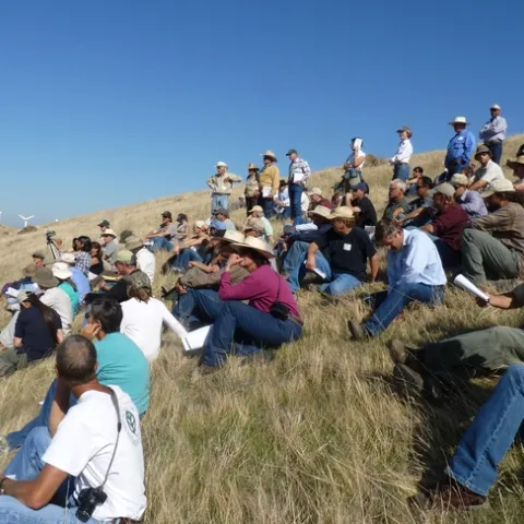 Field tour