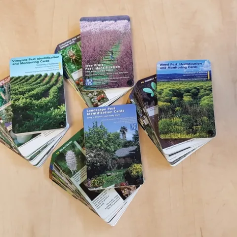 IPM cards