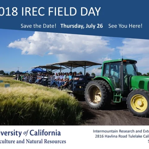 Save the date