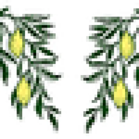 Lemon border