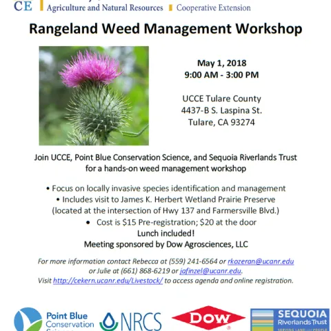 Workshop 4-2018