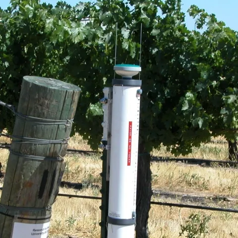 atmometer grapes