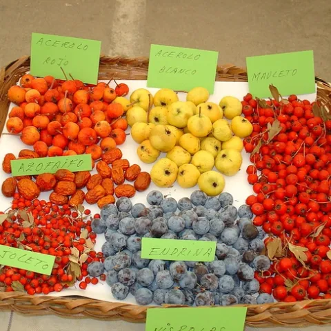 azerolo fruit