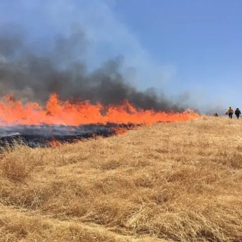 sfrec fire1 (2)