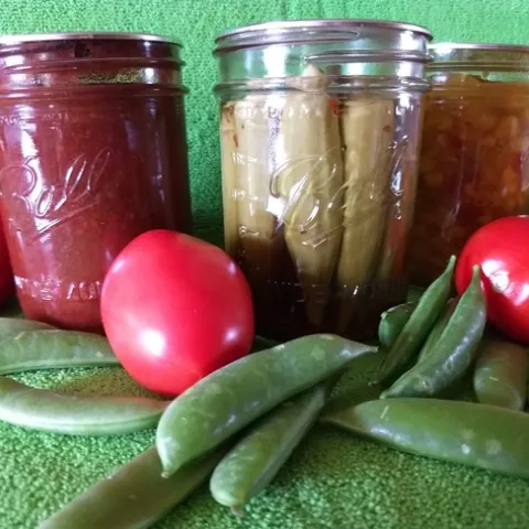 Canned food 1