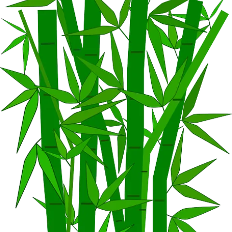 bamboo-307897 640