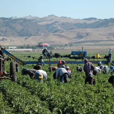 Farm labor