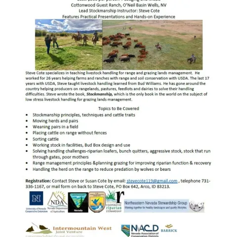 stockmanship school