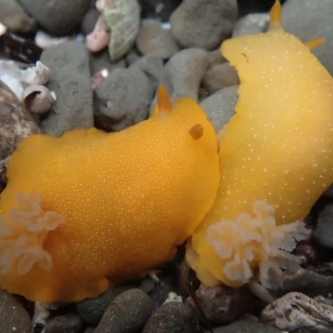 P7140155