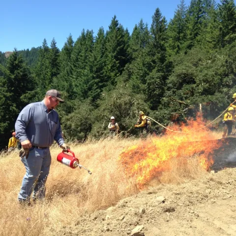 RX Fire