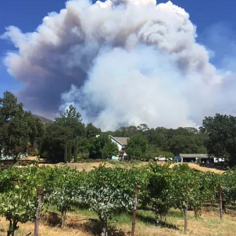 This was the view of the River Fire consuming the upper pastures of Hopland REC on Friday from Glenn McGourty's home.