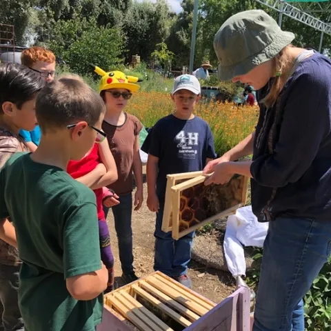 Postdoctoral scholar Laura Brutscher of the Elina Lastro Niño lab at UC Davis talks about who lives in the hive. (Photo by Kathy Keatley Garvey)
