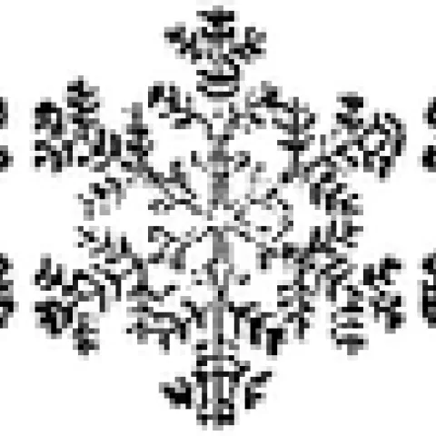 frozen