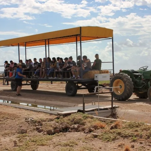 holtville tractor