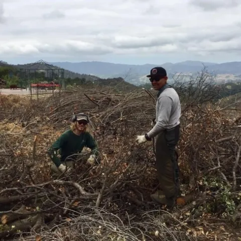CREW fire clearance