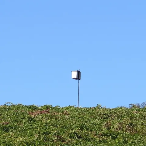 An owl box.