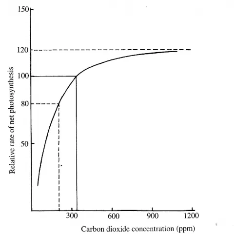 co2 net photo378