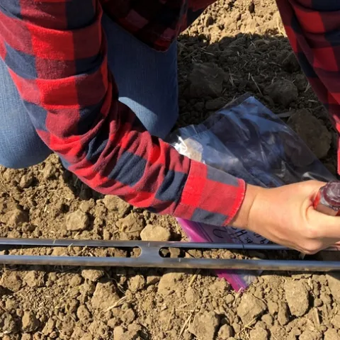 Soil sampling