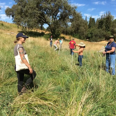 Grazing workshop students putting up temporary electric fence netting.