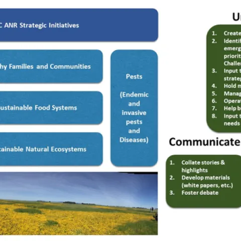 SI objectives