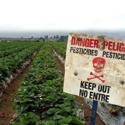 danger sign