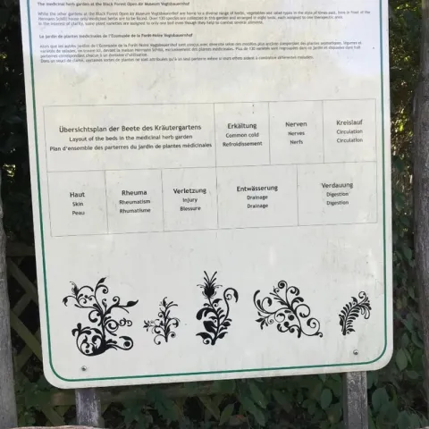 Gutach medicinal