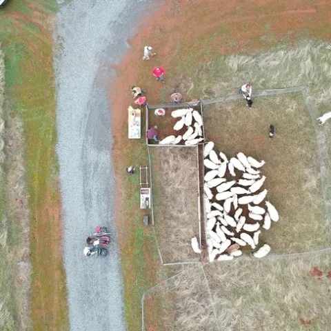 bud box aerial